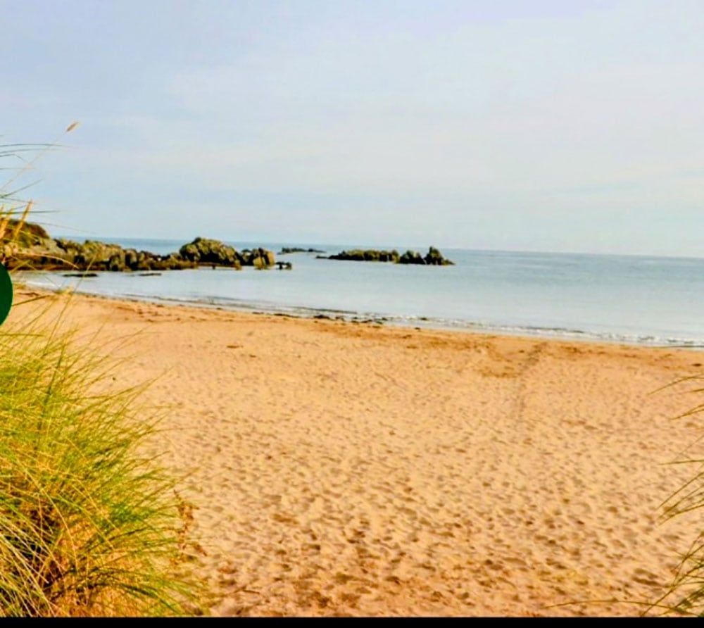 Local beach